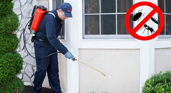 Ilıca Dezenfeksiyon böcek ilaçlama ve haşere kontrolü — ilaclama-tr.com